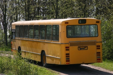 245 Bagfra